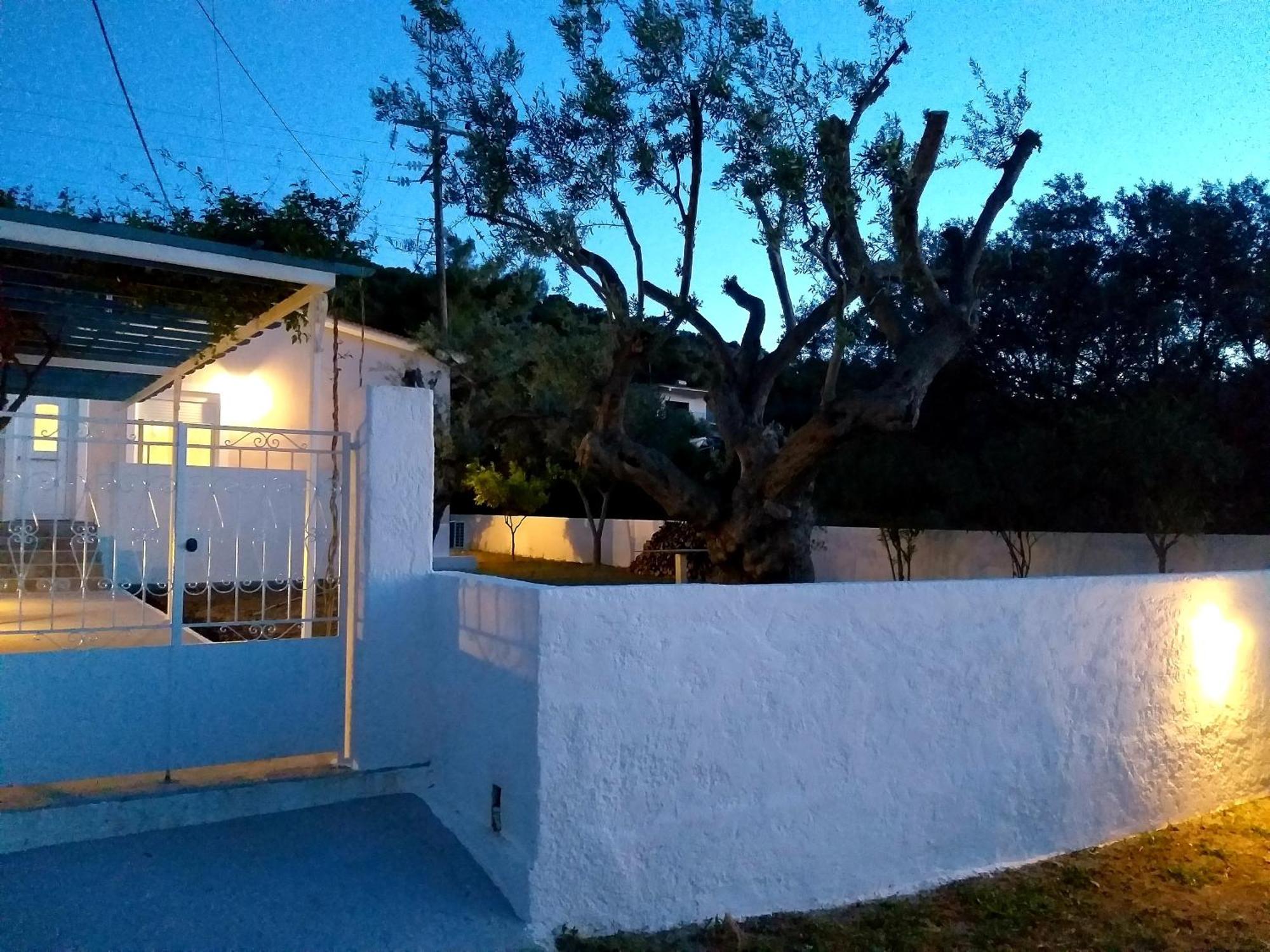 Skala Central House المظهر الخارجي الصورة